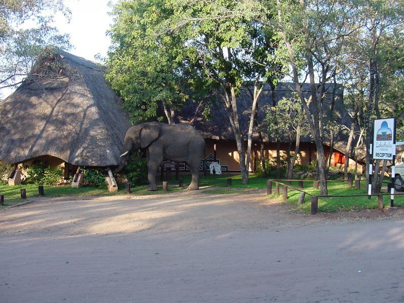 โลคูธูลา ลอดจ์ Bed & Breakfast วิกตอเรียฟอลส์ ภายนอก รูปภาพ