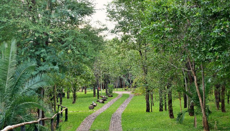 โลคูธูลา ลอดจ์ Bed & Breakfast วิกตอเรียฟอลส์ ภายนอก รูปภาพ